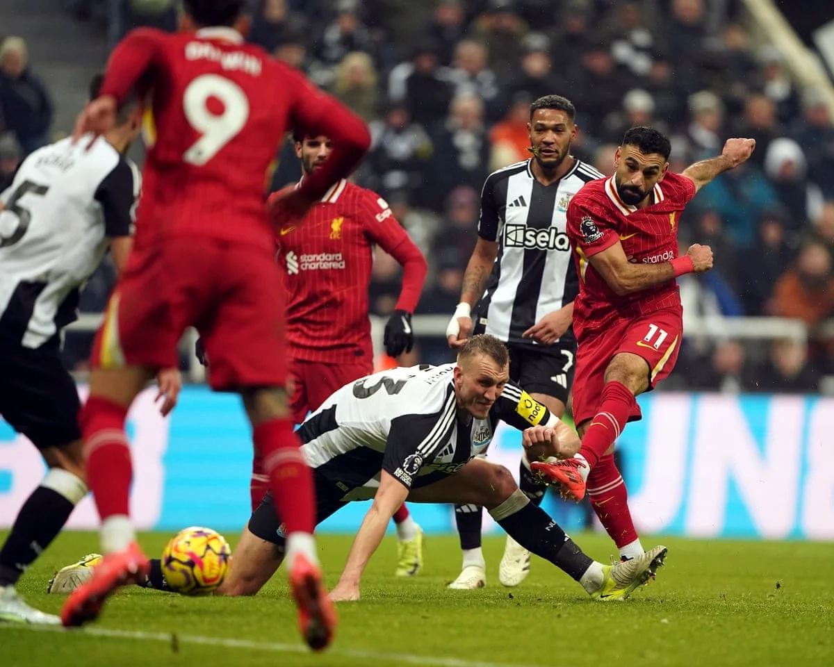 B体育网频道封面图片